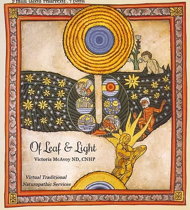 Illustrated artwork used by Of Leaf & Light, reflecting creation, light, and healing.